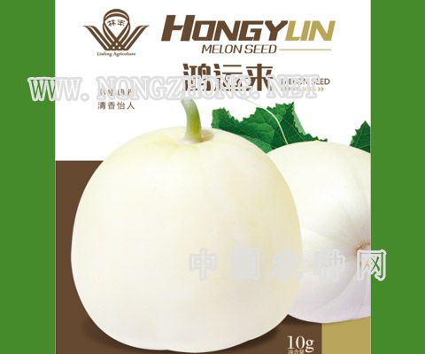 鸿运来